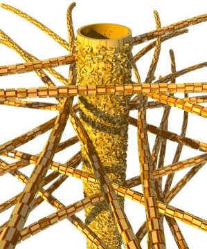 Dentin nanostructures: A ‘super-natural’ phenomenon