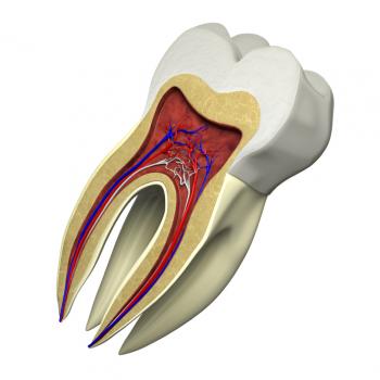 Tooth enamel structure and composition revealed in 3-D nanoscale maps